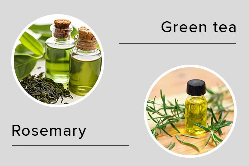 Green tea & Rosemary